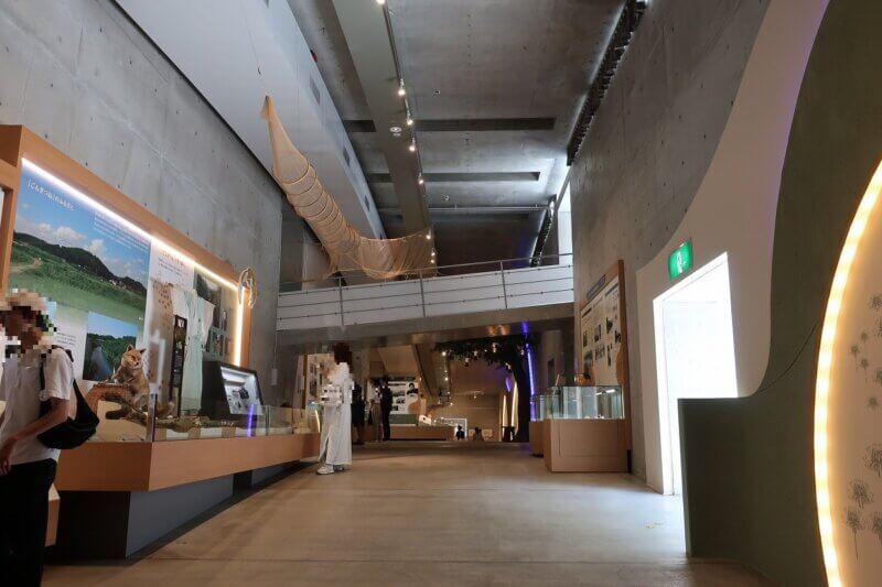 新美南吉記念館の特徴的な、展示スペース入口から緩やかに上がる床
